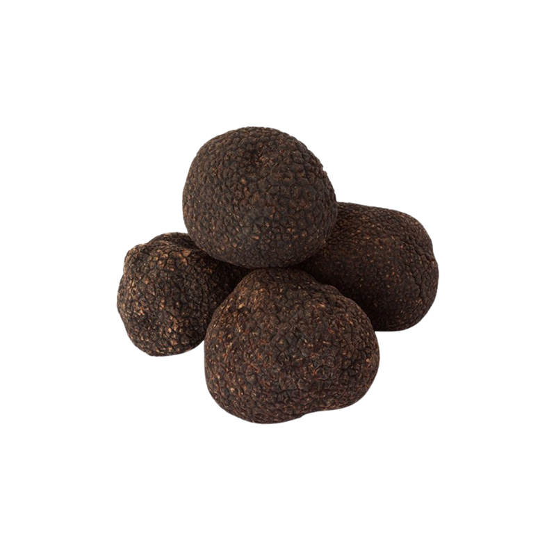 TRUFFE NOIRE D'HIVER FRAÎCHE