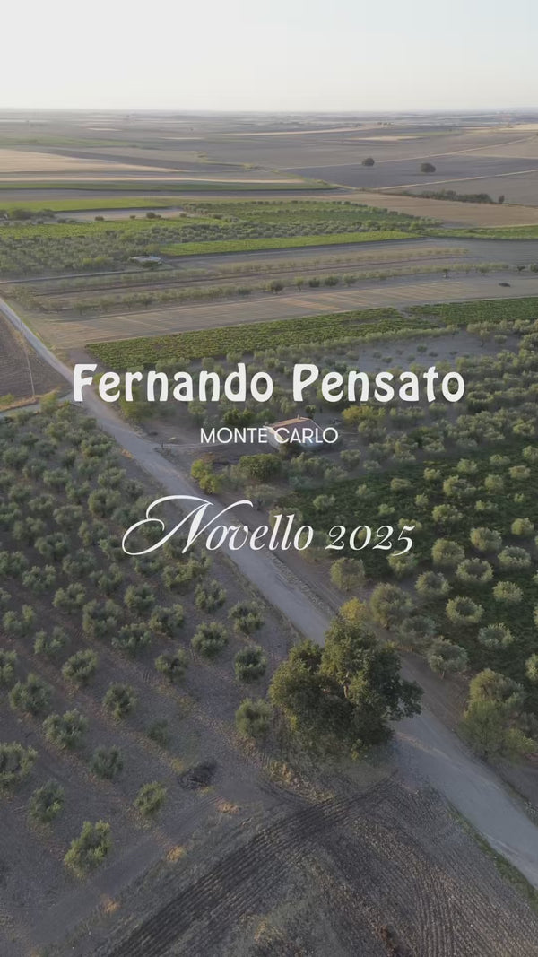 2025 NOVELLO OLIVE OIL